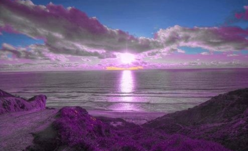 purple sunset on ocean coast